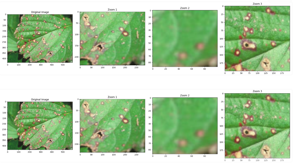 イチゴの病気 AIによる画像解析
