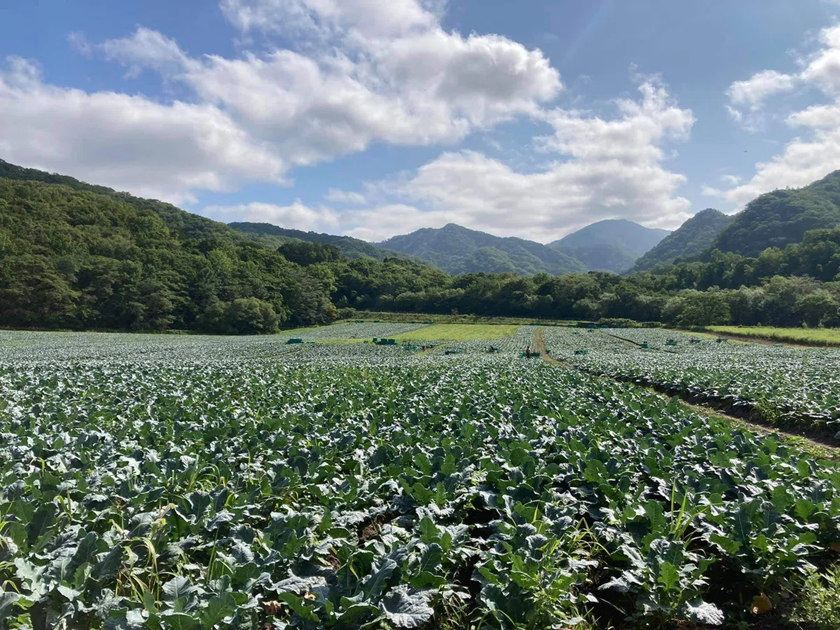 WFPダチョウファームの圃場風景