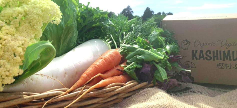 旬の野菜セット