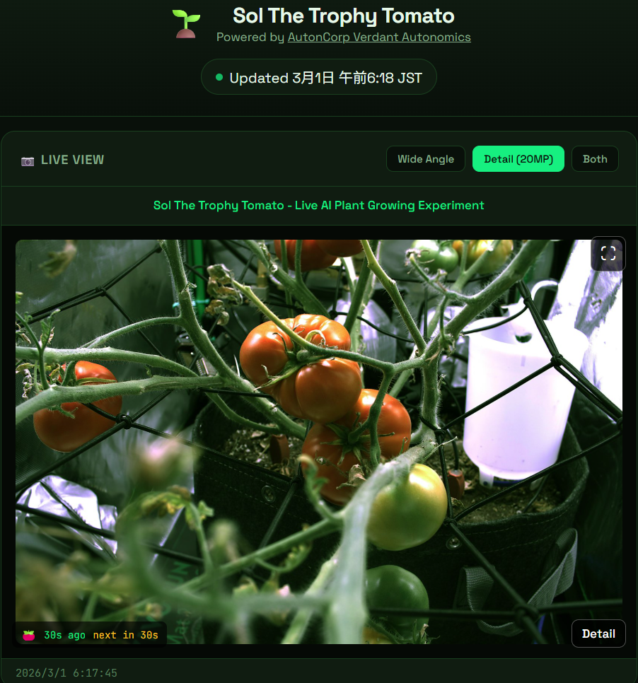 claudeandsol.com ── Solプロジェクト公式サイト