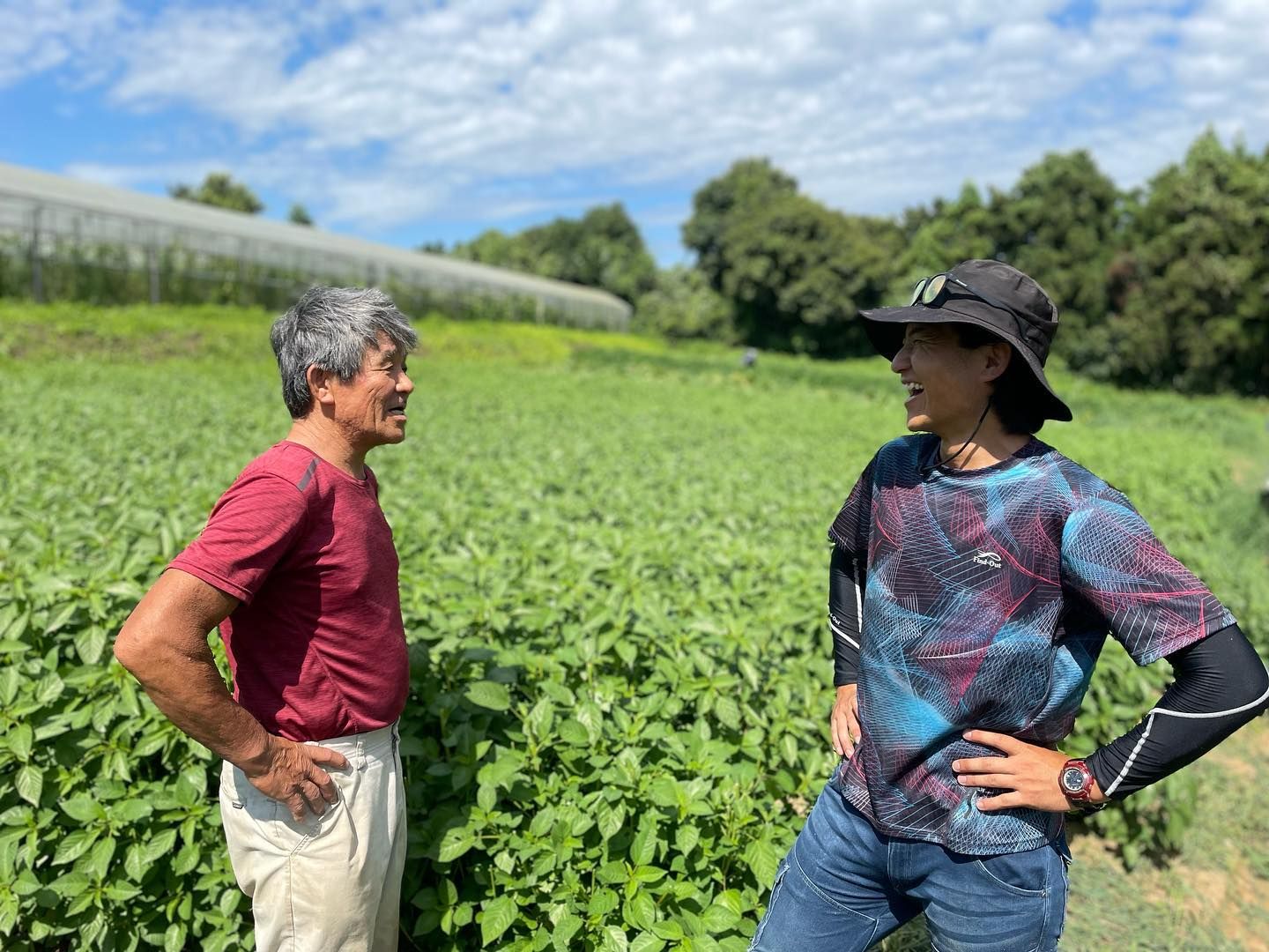 樫村ふぁーむの現場から